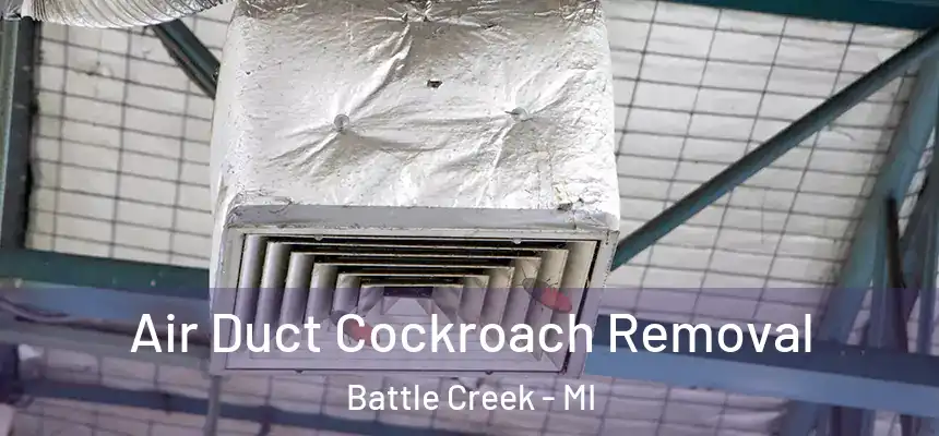 Air Duct Cockroach Removal Battle Creek - MI