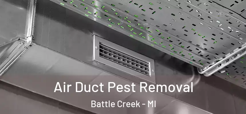 Air Duct Pest Removal Battle Creek - MI