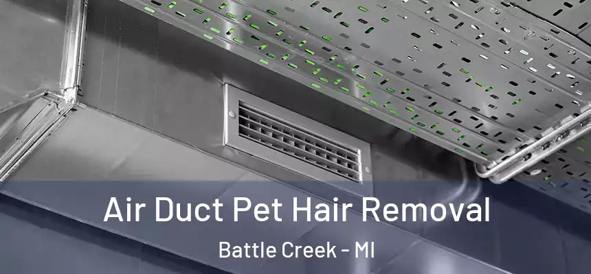  Air Duct Pet Hair Removal Battle Creek - MI