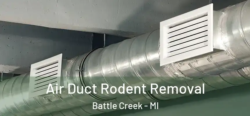  Air Duct Rodent Removal Battle Creek - MI