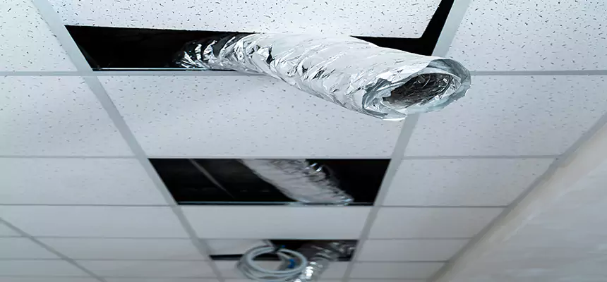 Our Air Duct Pet Hair Removal Services in Battle Creek, MI