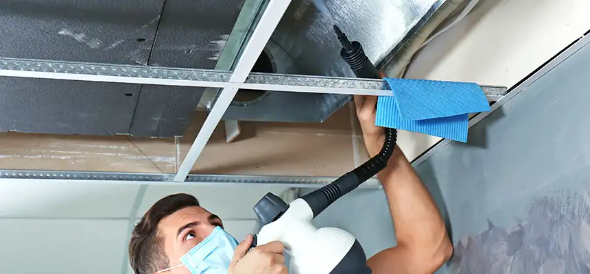 Our Air Duct Rodent Removal Services in Battle Creek, MI