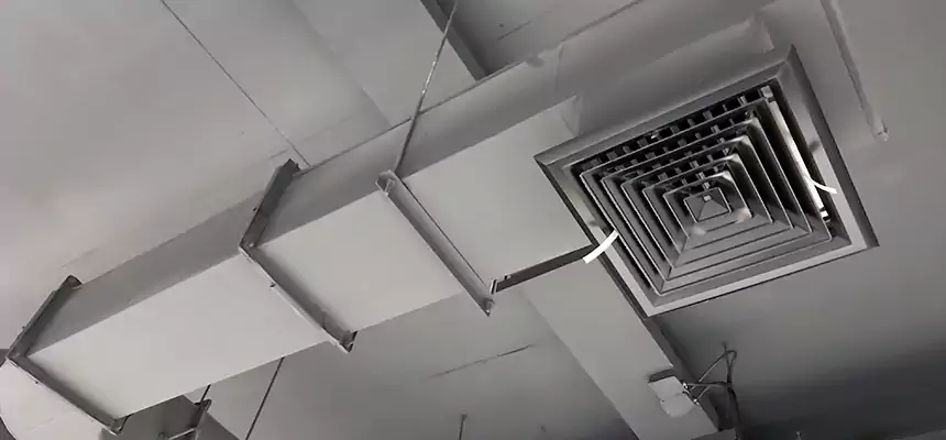 Our Pest Removal From Ducts Services in Battle Creek, MI