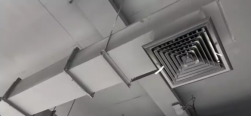 Our Rodent Droppings In Vents Services in Battle Creek, MI