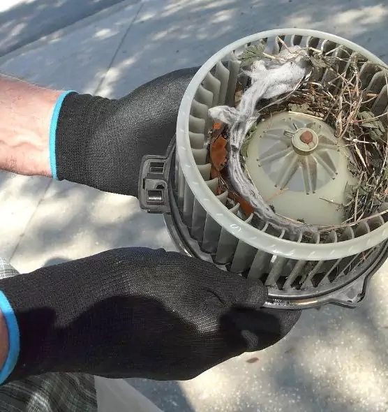 About Air Duct Mice Removal in Battle Creek, MI