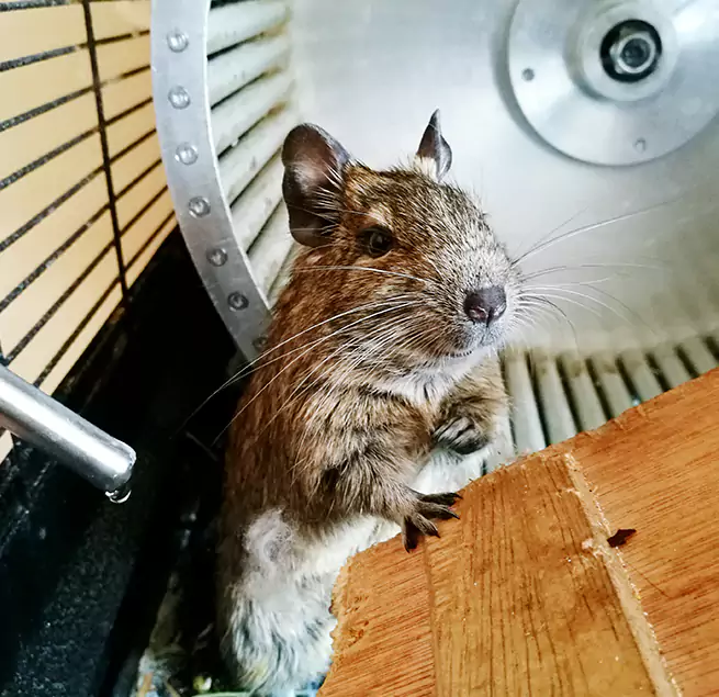 Why Homeowners & Businesses Trust Us Battle Creek, MI